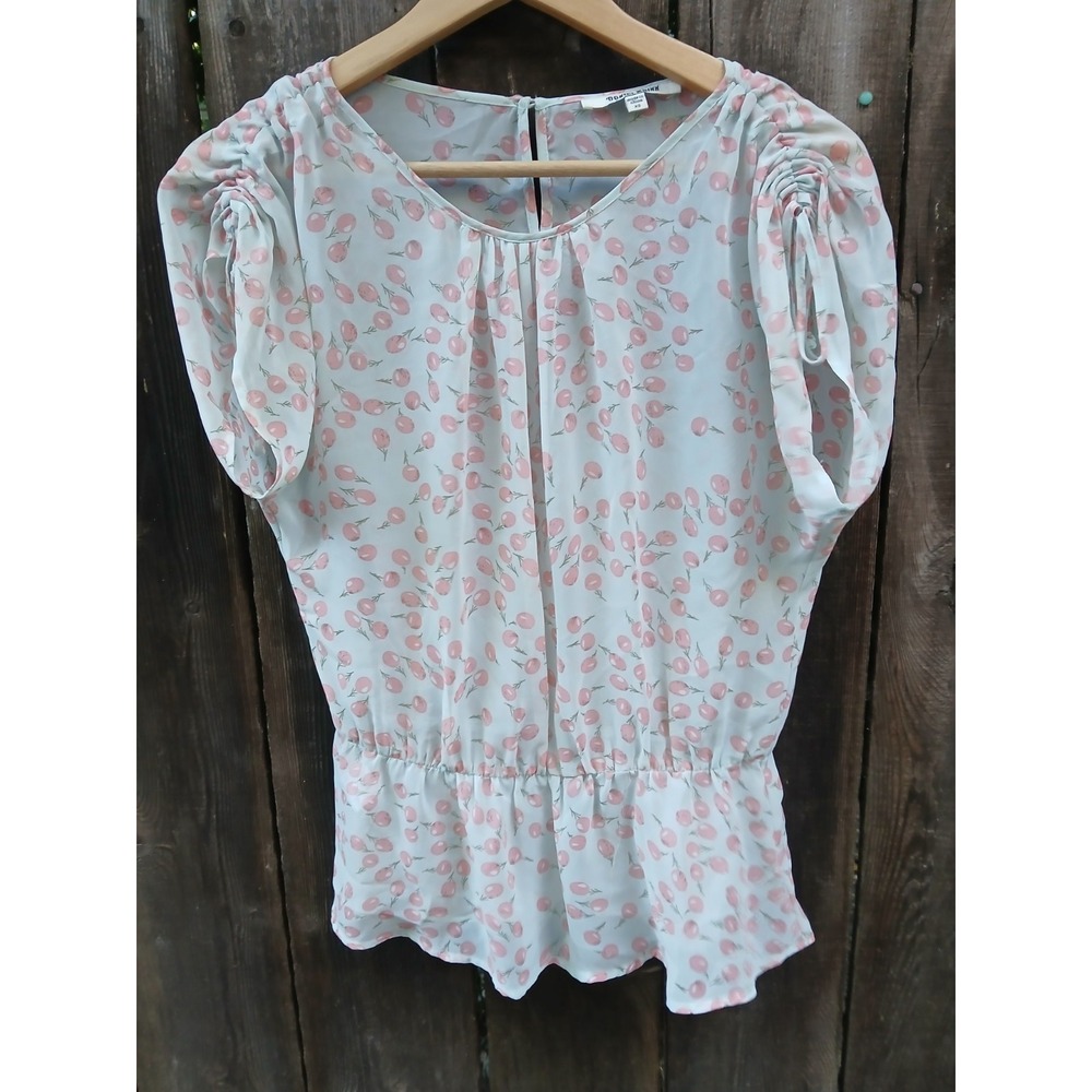 Woman's Sheer Daniel Rainn Blouse Powder Blue Pink Cherries Summer Xs